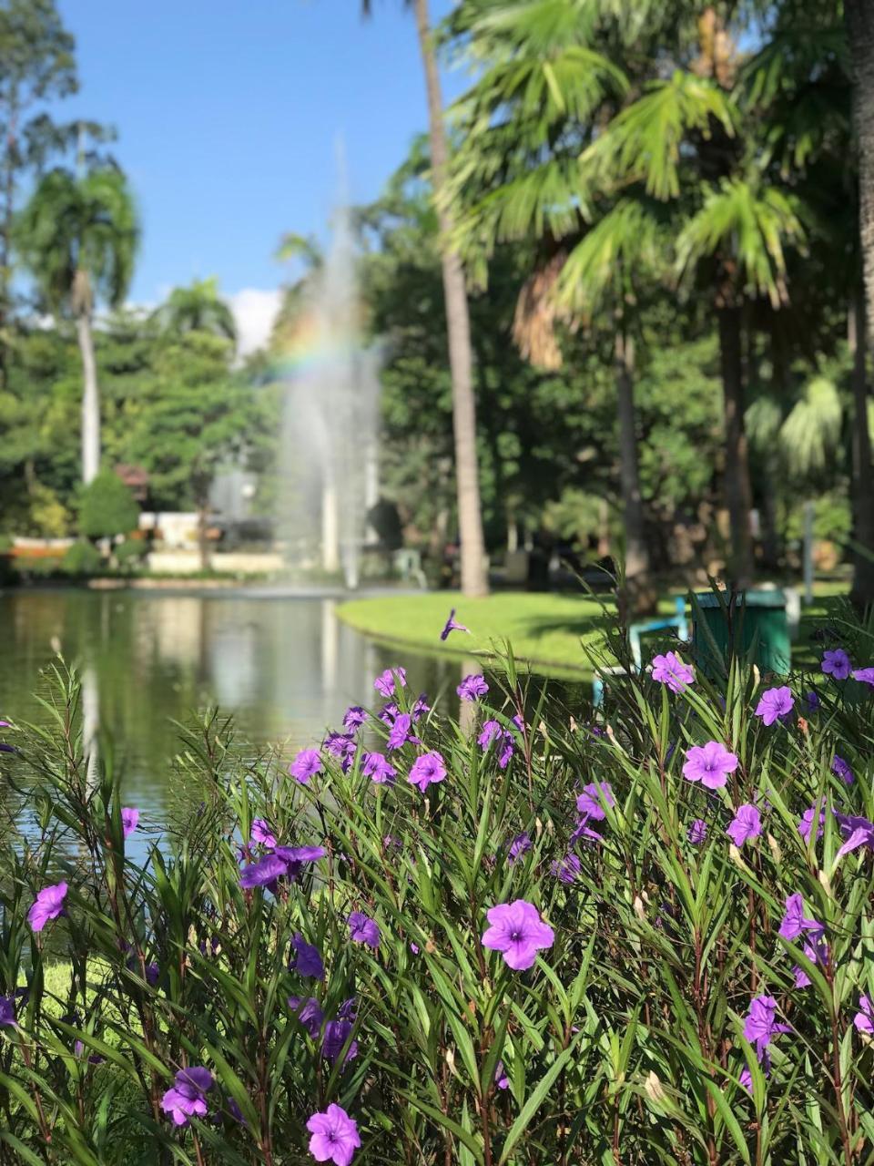 Lis Nimman Hotell Chiang Mai Exteriör bild